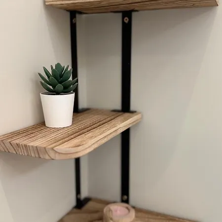 Carude 76 公寓 蒙福特·德·莱蒙斯